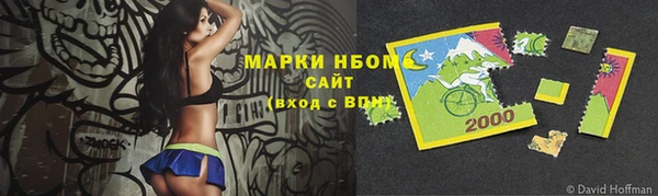 apvp Алзамай