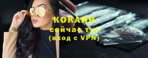 индика Армянск