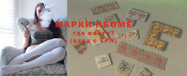индика Армянск