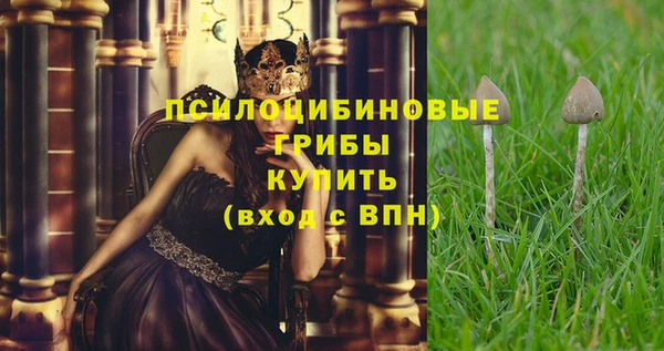 не бодяженный Арсеньев