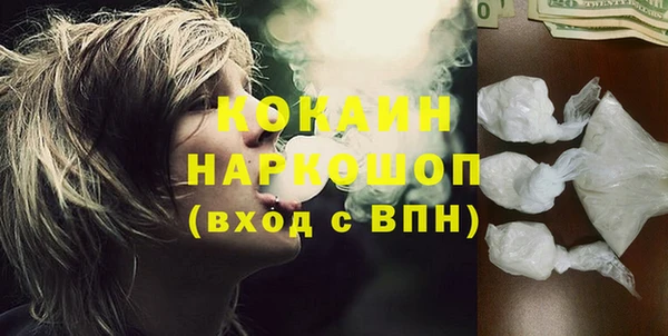 индика Армянск