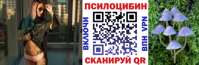 купить наркотики сайты  Миасс  Псилоцибиновые грибы MAGIC MUSHROOMS 