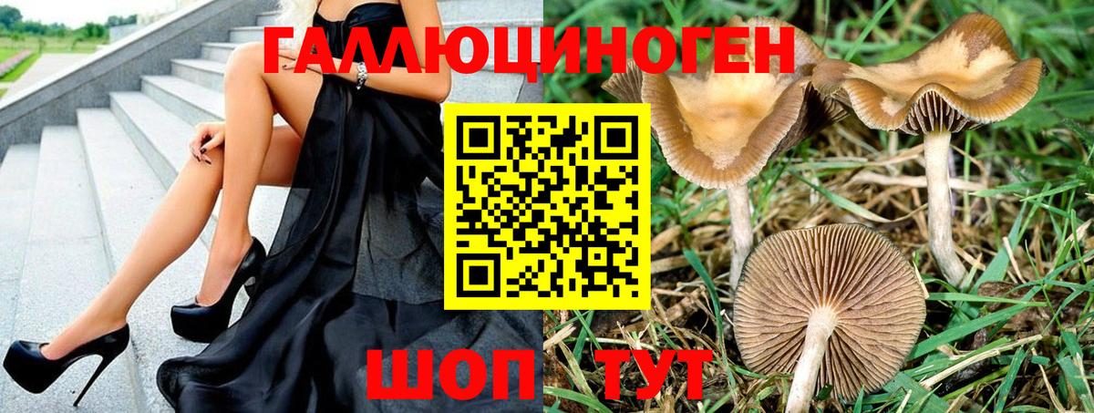 Псилоцибиновые грибы мухоморы Миасс